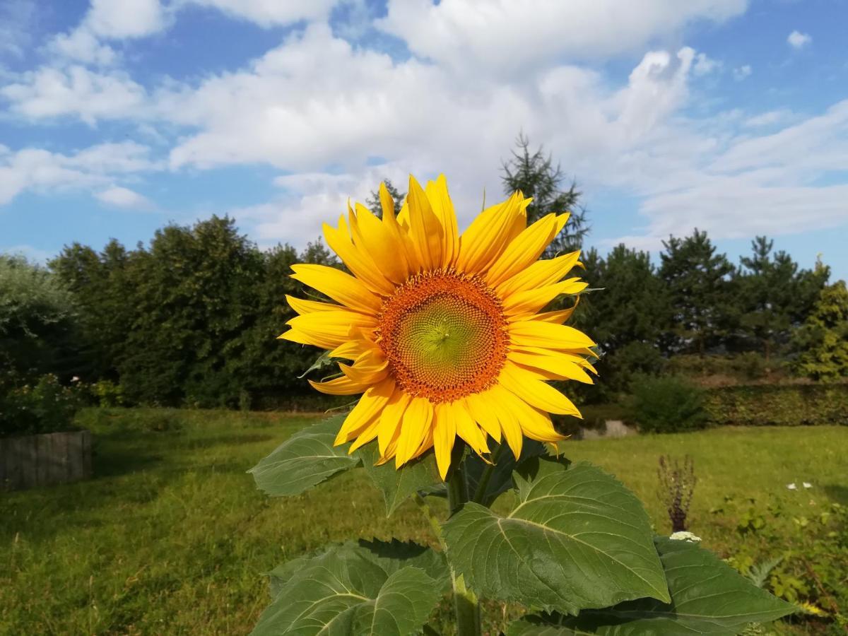 Carpe Diem Mont  Exteriér fotografie